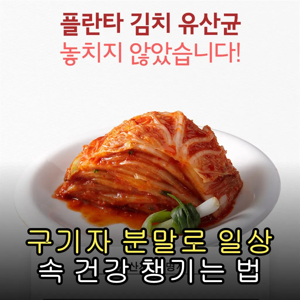 구기자 분말로 일상 속 건강 챙기는 법
