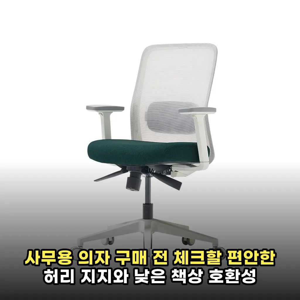 사무용 의자 구매 전 체크할 편안한 허리 지지와 낮은 책상 호환성