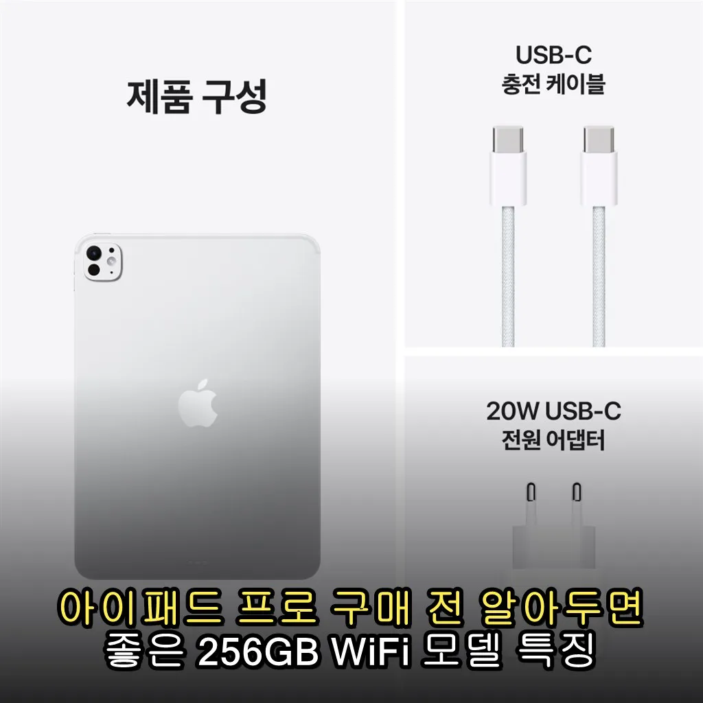 아이패드 프로 구매 전 알아두면 좋은 256GB WiFi 모델 특징