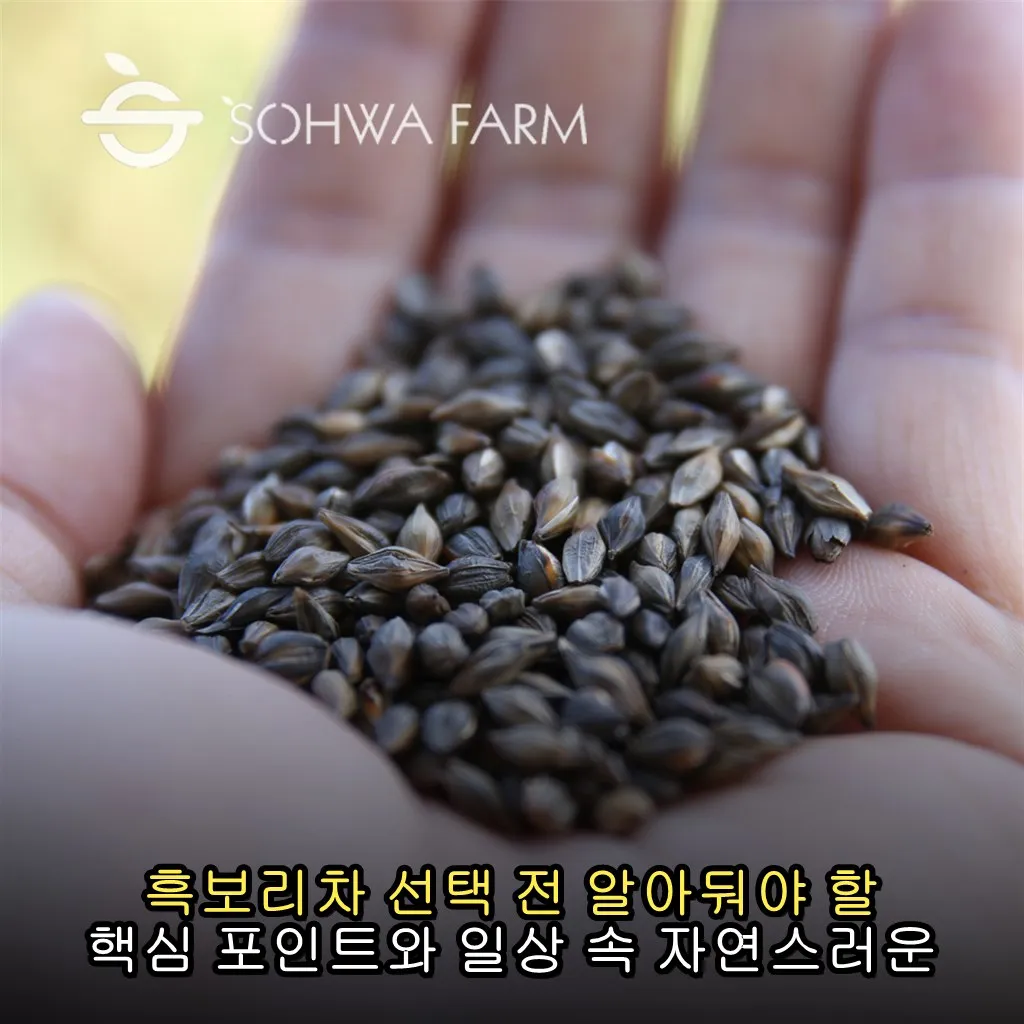 흑보리차 선택 전 알아둬야 할 핵심 포인트와 일상 속 자연스러운 활용법 후기