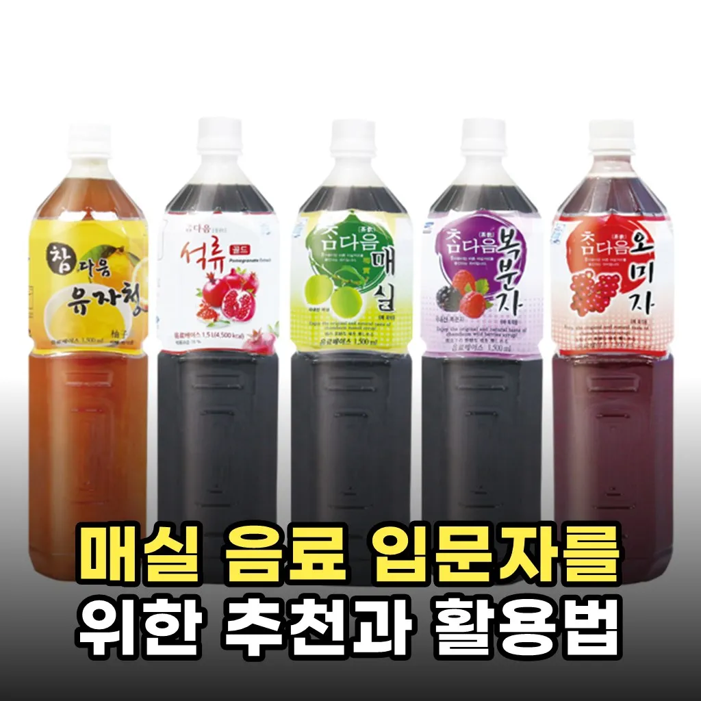 매실 음료 입문자를 위한 추천과 활용법
