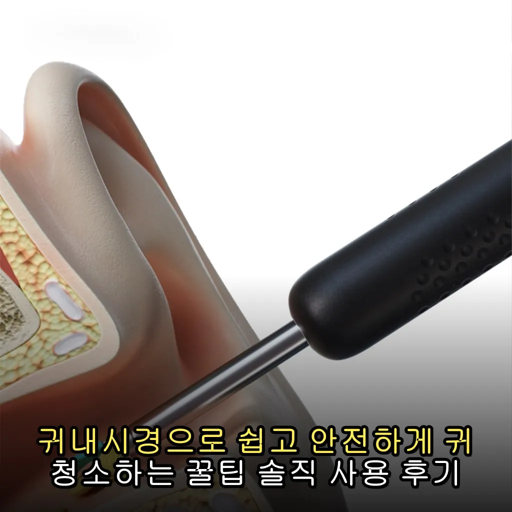 귀내시경으로 쉽고 안전하게 귀 청소하는 꿀팁 솔직 사용 후기