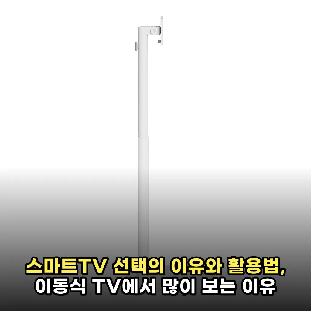 스마트TV 선택의 이유와 활용법, 이동식 TV에서 많이 보는 이유