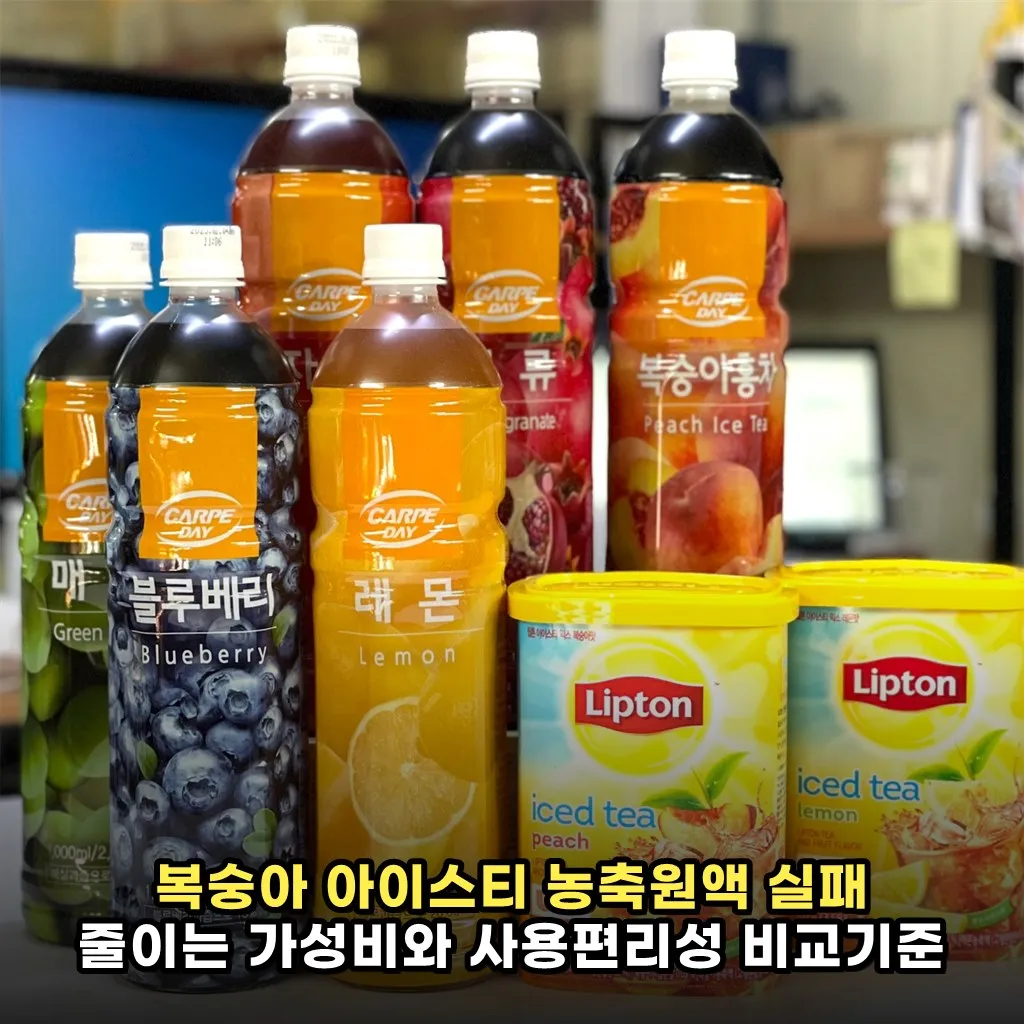 복숭아 아이스티 농축원액 실패 줄이는 가성비와 사용편리성 비교기준