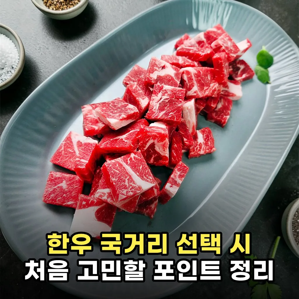 한우 국거리 선택 시 처음 고민할 포인트 정리