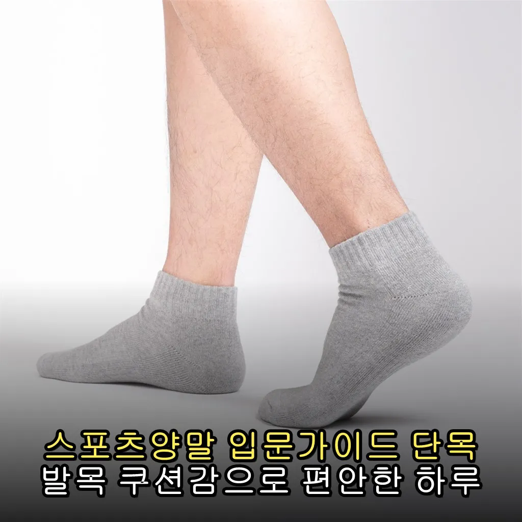 스포츠양말 입문가이드 단목 발목 쿠션감으로 편안한 하루