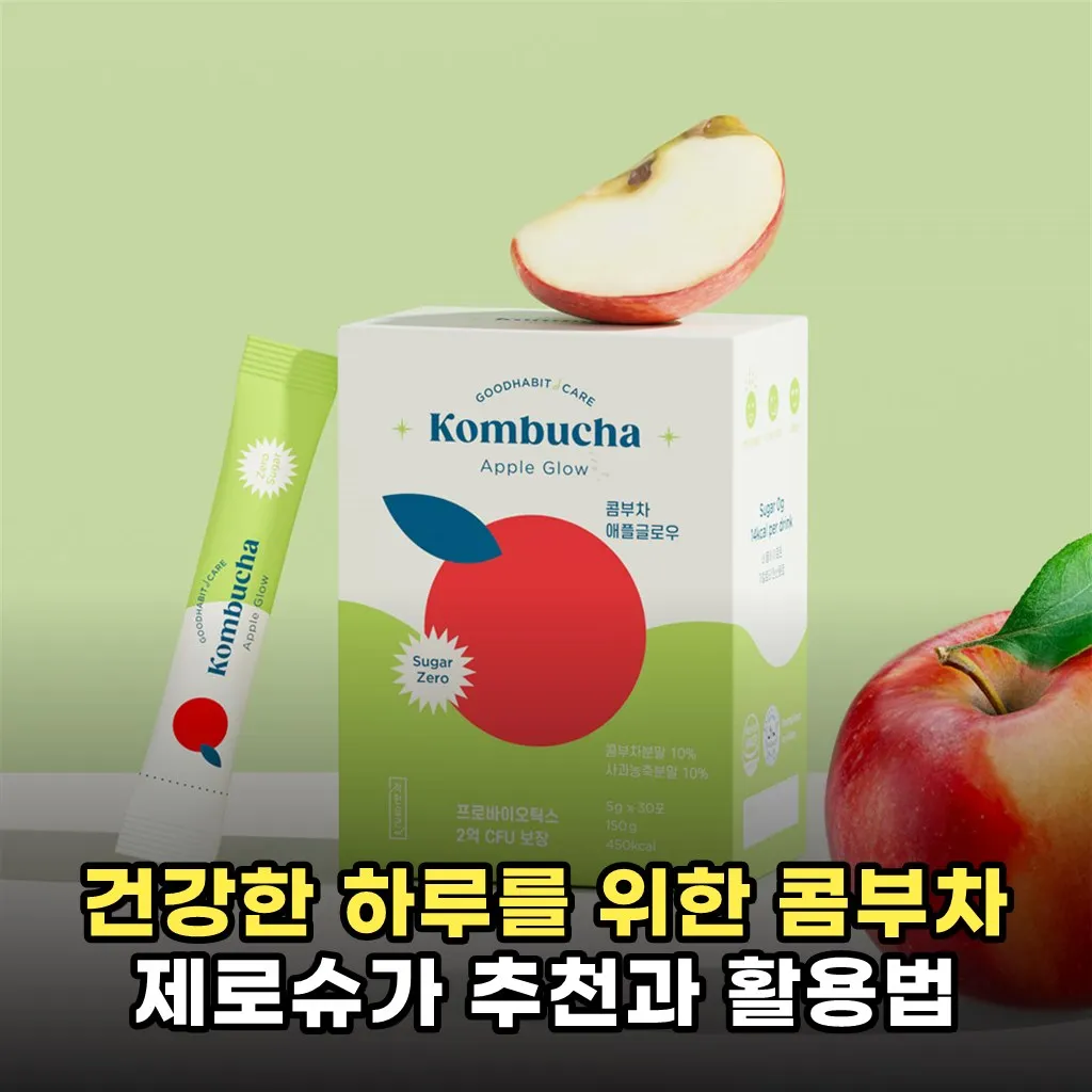 건강한 하루를 위한 콤부차 제로슈가 추천과 활용법