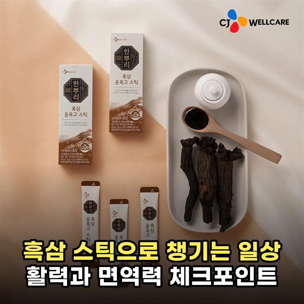 흑삼 스틱으로 챙기는 일상 활력과 면역력 체크포인트