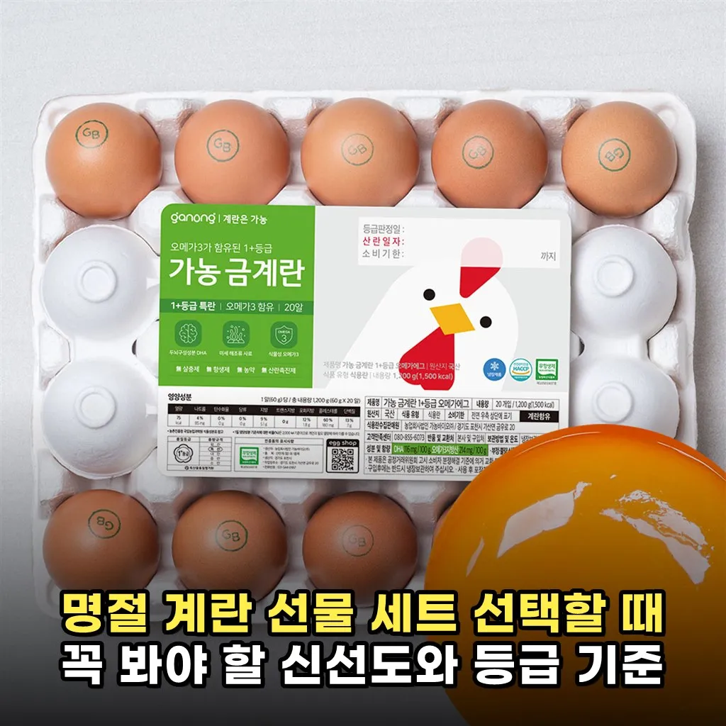 명절 계란 선물 세트 선택할 때 꼭 봐야 할 신선도와 등급 기준