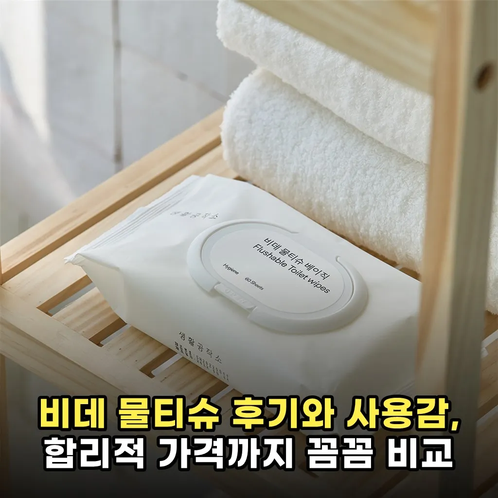 비데 물티슈 후기와 사용감, 합리적 가격까지 꼼꼼 비교