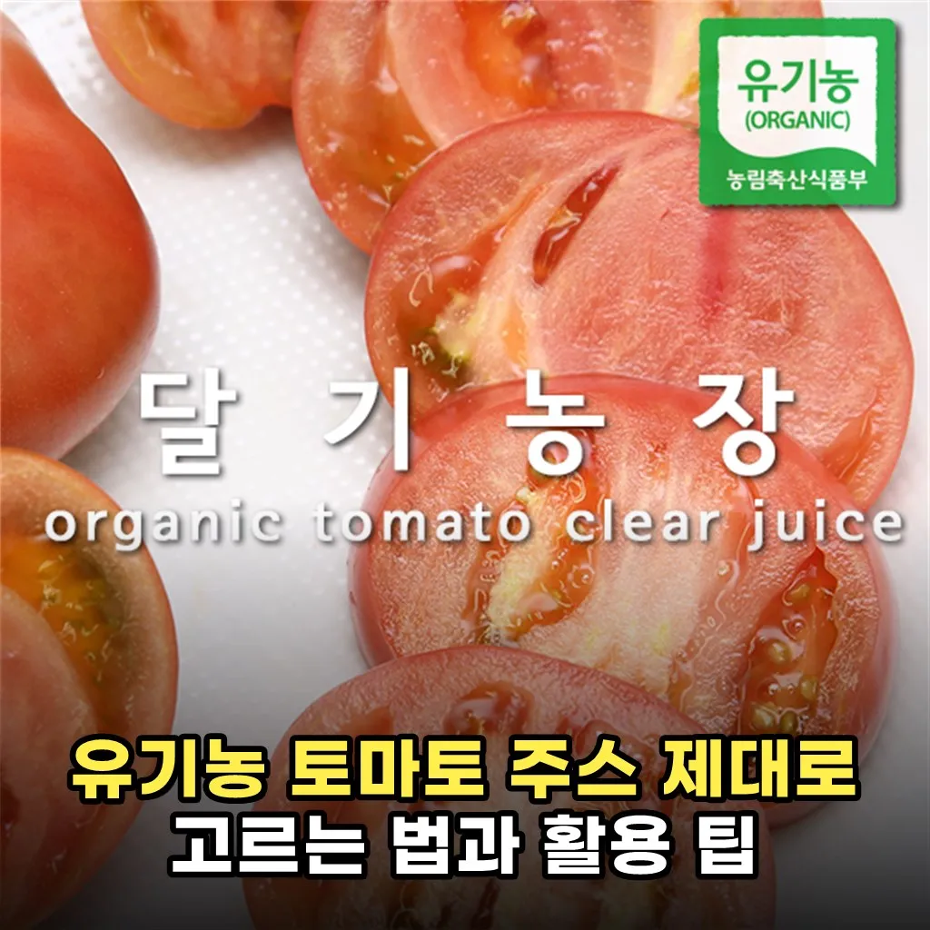 유기농 토마토 주스 제대로 고르는 법과 활용 팁