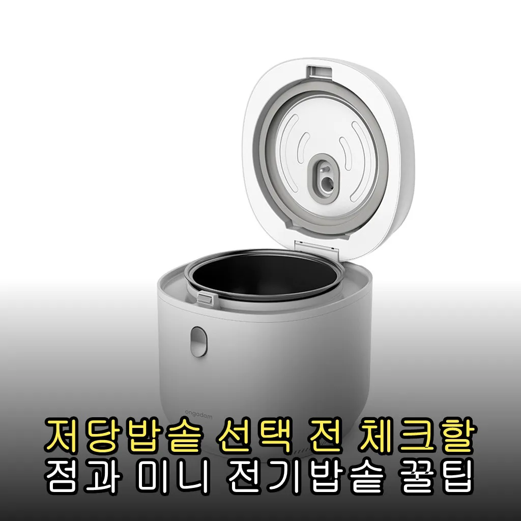 저당밥솥 선택 전 체크할 점과 미니 전기밥솥 꿀팁
