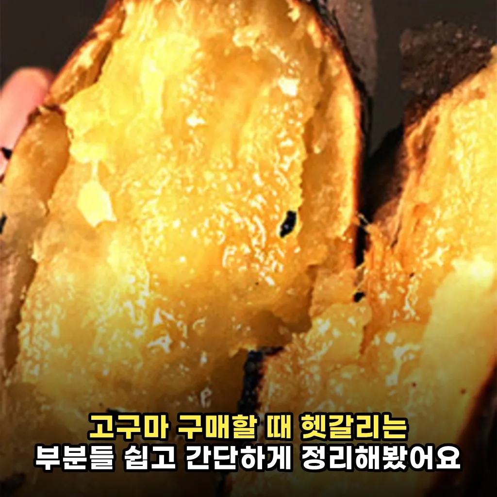 고구마 구매할 때 헷갈리는 부분들 쉽고 간단하게 정리해봤어요
