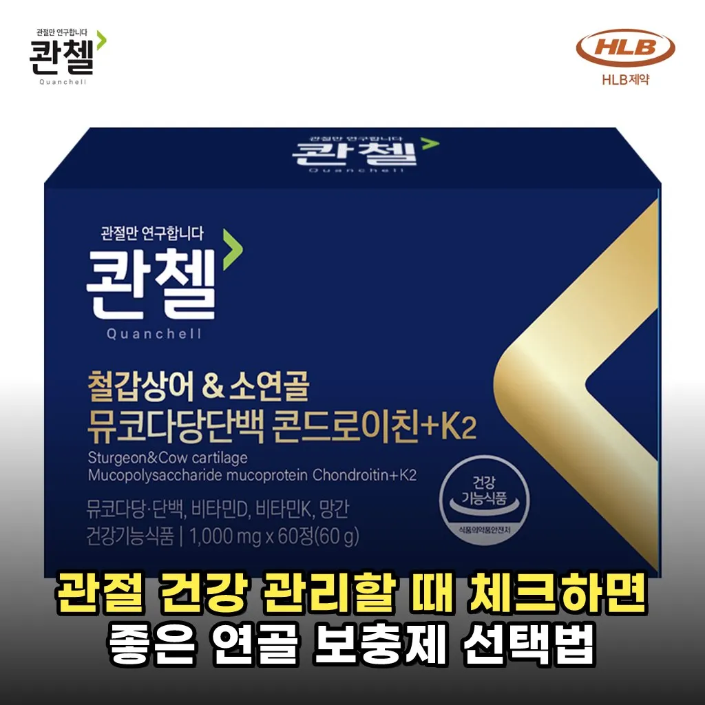 관절 건강 관리할 때 체크하면 좋은 연골 보충제 선택법