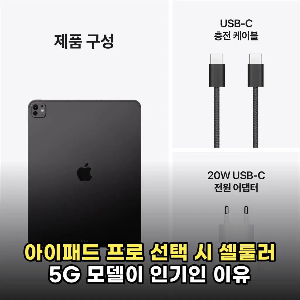 아이패드 프로 선택 시 셀룰러 5G 모델이 인기인 이유