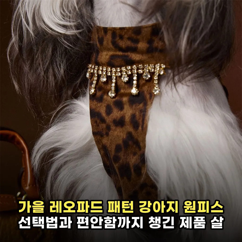 가을 레오파드 패턴 강아지 원피스 선택법과 편안함까지 챙긴 제품 살 때 알아야 할 점