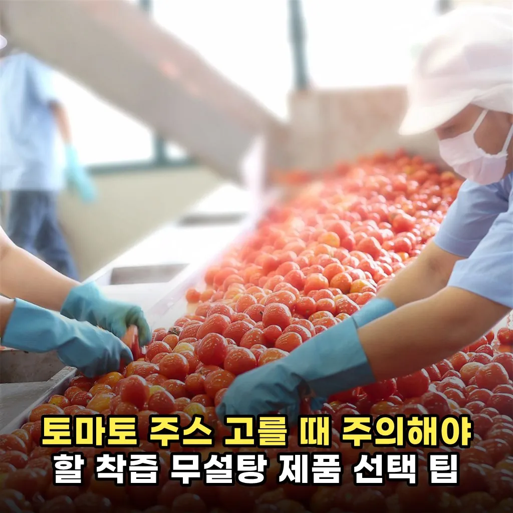 토마토 주스 고를 때 주의해야 할 착즙 무설탕 제품 선택 팁