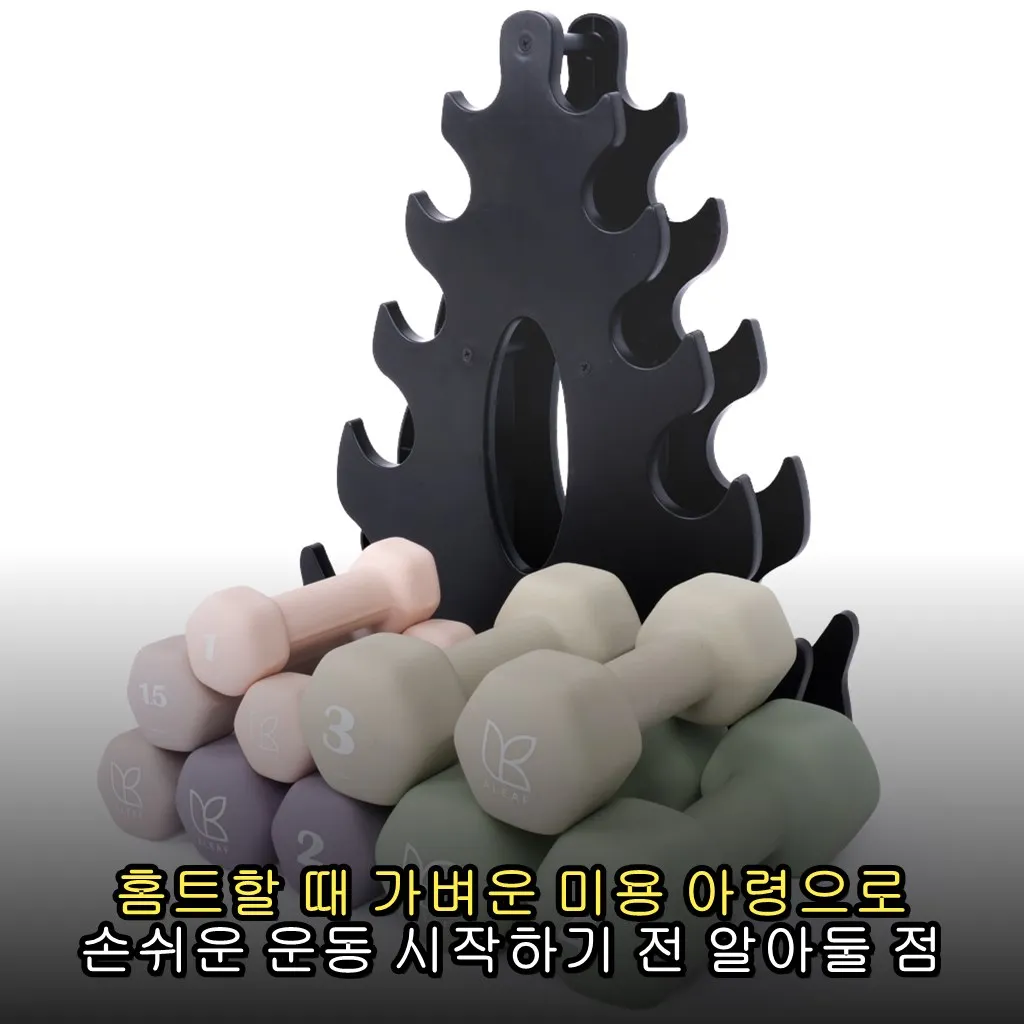 홈트할 때 가벼운 미용 아령으로 손쉬운 운동 시작하기 전 알아둘 점