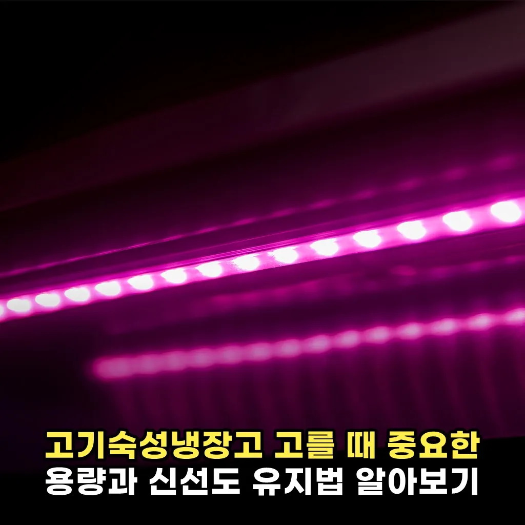 고기숙성냉장고 고를 때 중요한 용량과 신선도 유지법 알아보기
