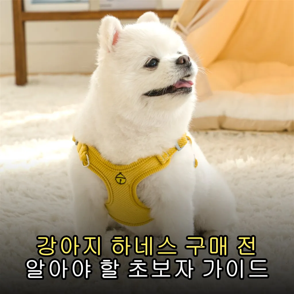 강아지 하네스 구매 전 알아야 할 초보자 가이드