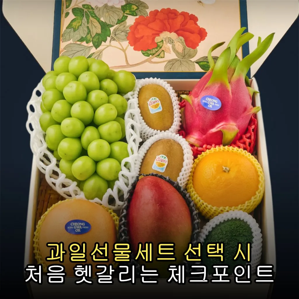 과일선물세트 선택 시 처음 헷갈리는 체크포인트