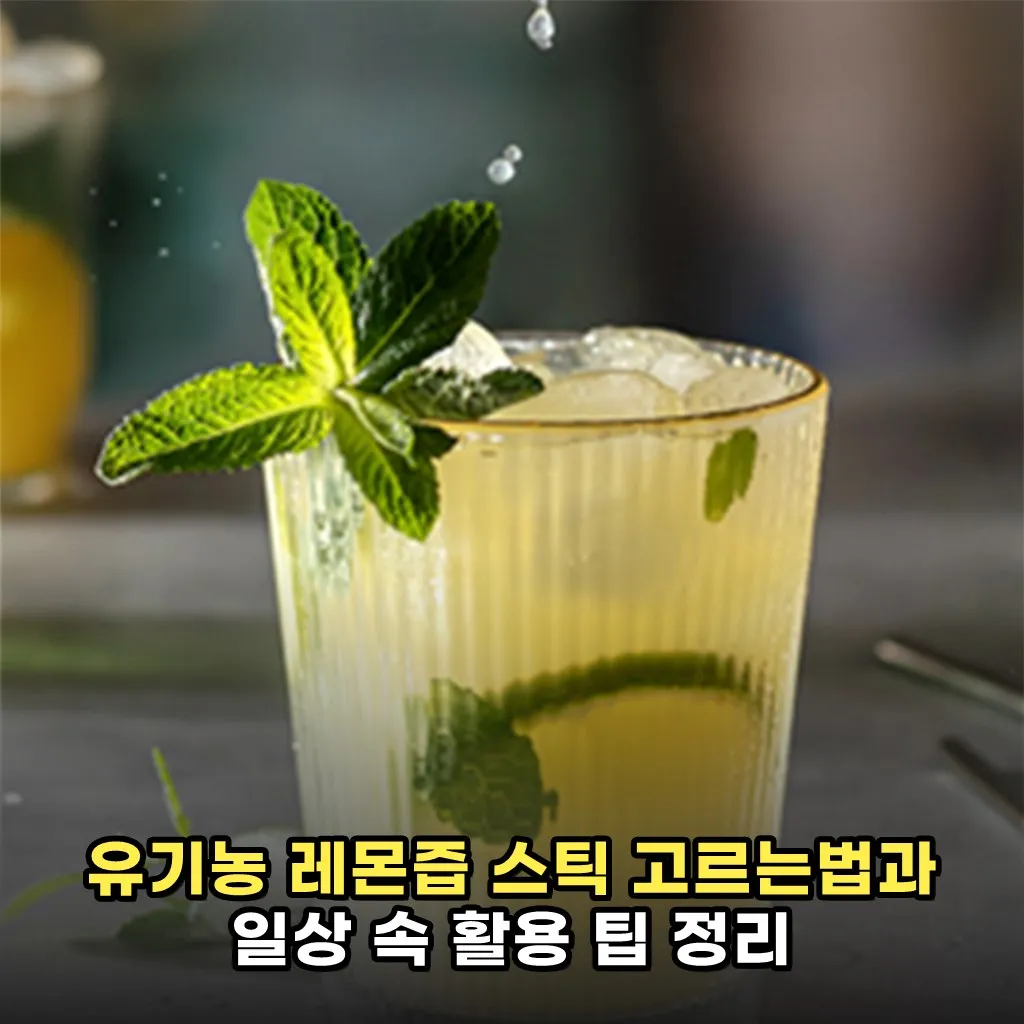유기농 레몬즙 스틱 고르는법과 일상 속 활용 팁 정리