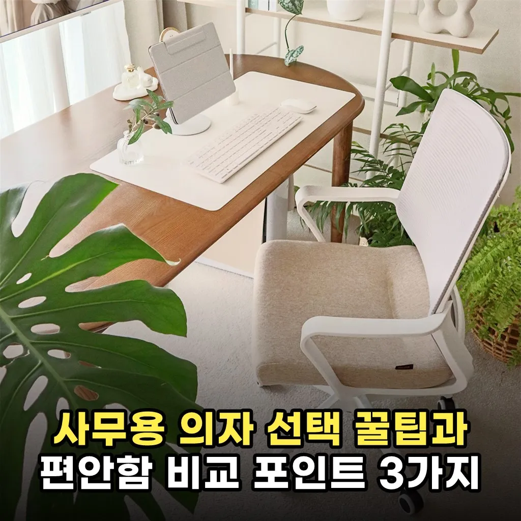 사무용 의자 선택 꿀팁과 편안함 비교 포인트 3가지