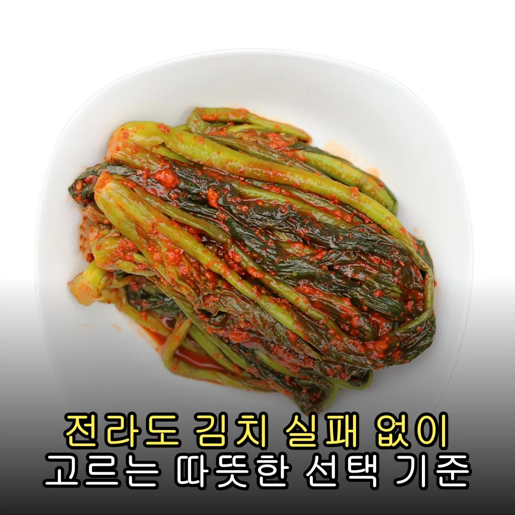 전라도 김치 실패 없이 고르는 따뜻한 선택 기준