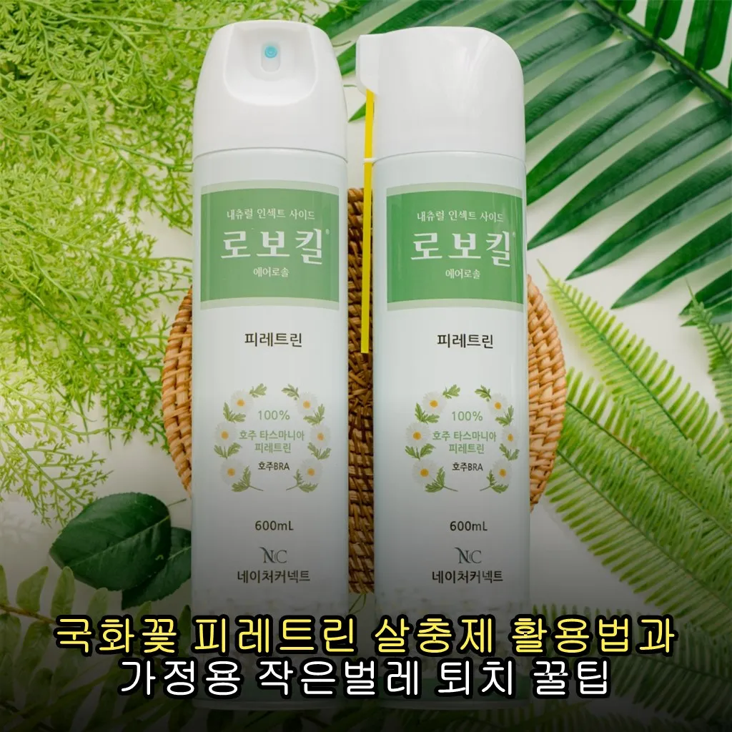 국화꽃 피레트린 살충제 활용법과 가정용 작은벌레 퇴치 꿀팁
