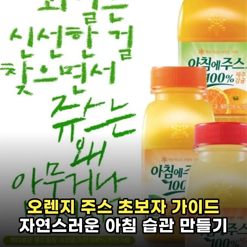 오렌지 주스 초보자 가이드 자연스러운 아침 습관 만들기