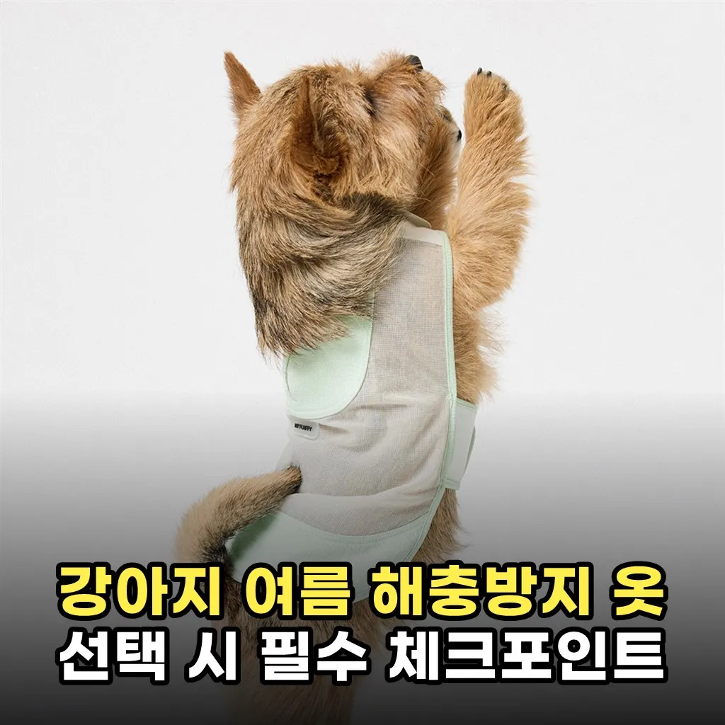 강아지 여름 해충방지 옷 선택 시 필수 체크포인트