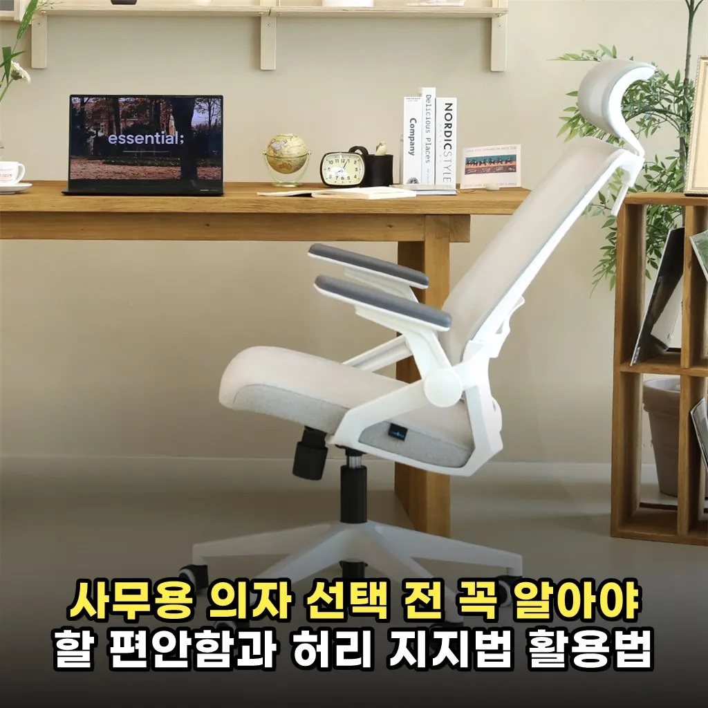 사무용 의자 선택 전 꼭 알아야 할 편안함과 허리 지지법 활용법