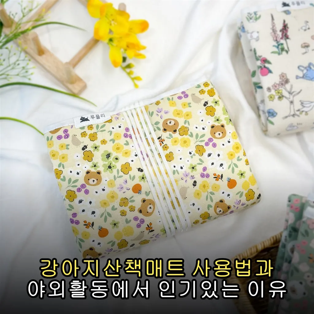 강아지산책매트 사용법과 야외활동에서 인기있는 이유