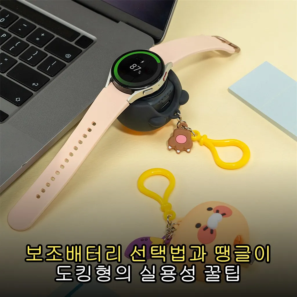 보조배터리 선택법과 땡글이 도킹형의 실용성 꿀팁