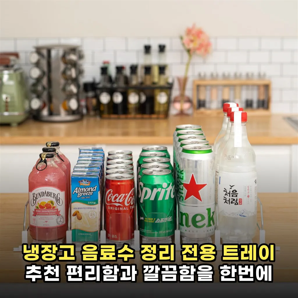 냉장고 음료수 정리 전용 트레이 추천 편리함과 깔끔함을 한번에