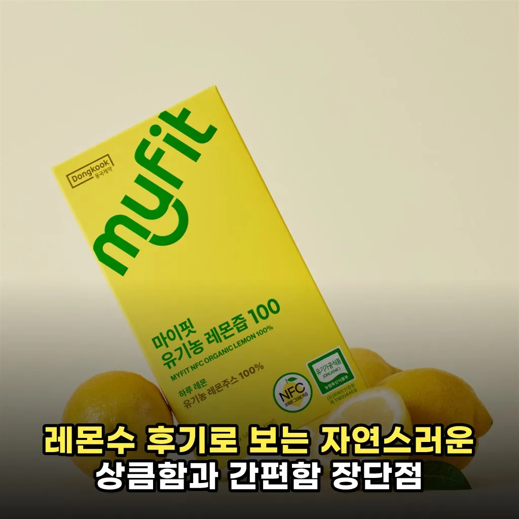 레몬수 후기로 보는 자연스러운 상큼함과 간편함 장단점
