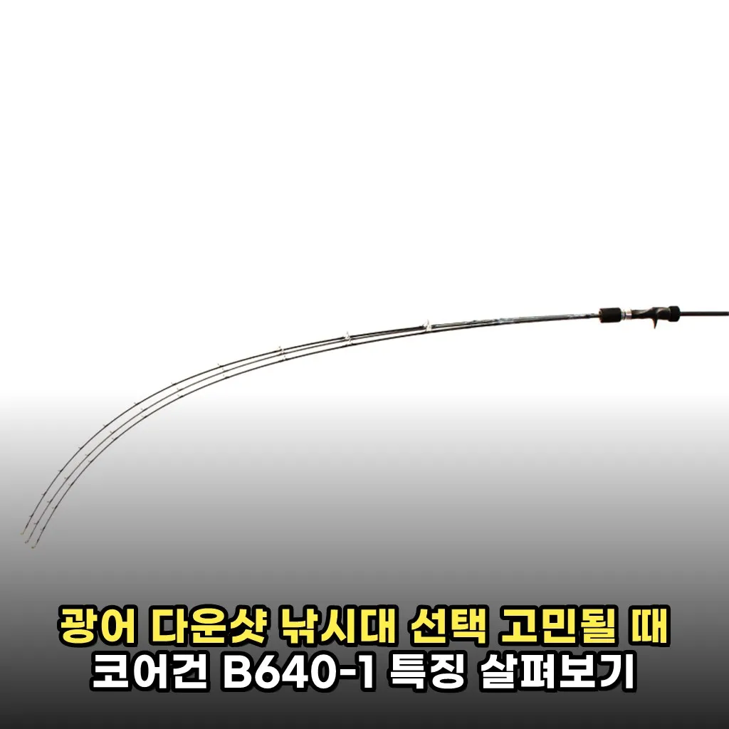 광어 다운샷 낚시대 선택 고민될 때 코어건 B640-1 특징 살펴보기