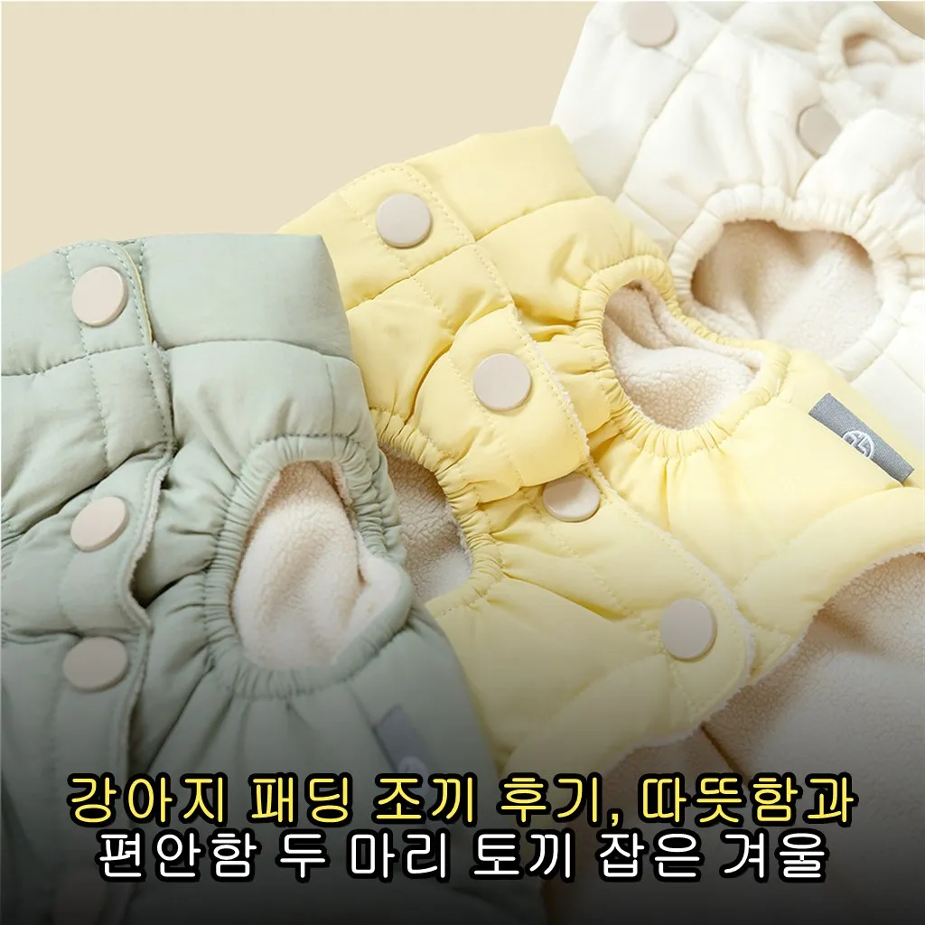 강아지 패딩 조끼 후기, 따뜻함과 편안함 두 마리 토끼 잡은 겨울 필수템