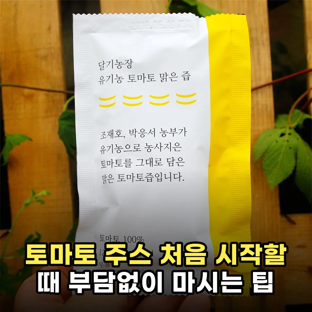 토마토 주스 처음 시작할 때 부담없이 마시는 팁