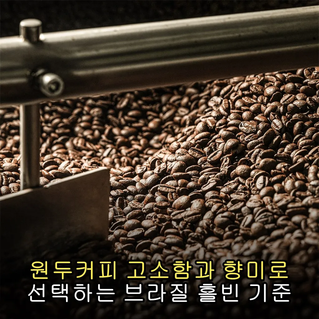 원두커피 고소함과 향미로 선택하는 브라질 홀빈 기준