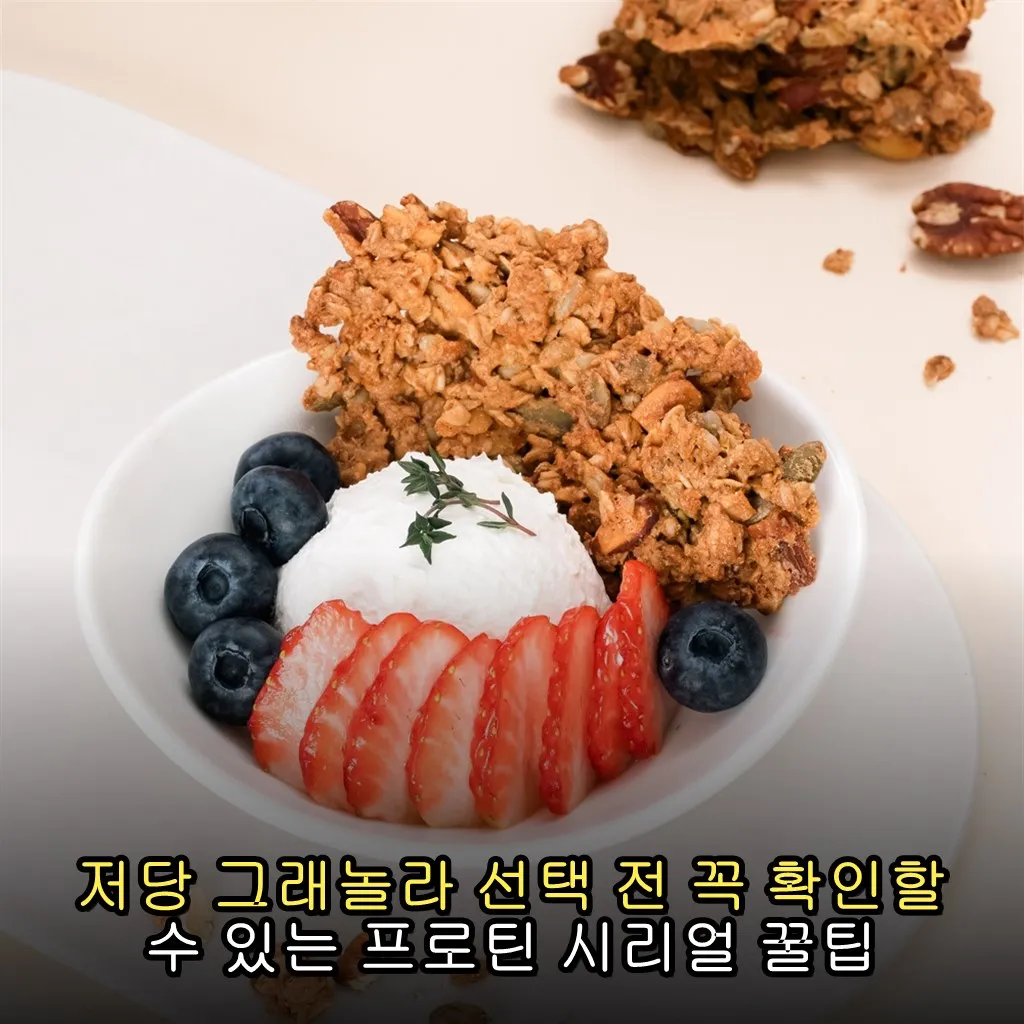 저당 그래놀라 선택 전 꼭 확인할 수 있는 프로틴 시리얼 꿀팁