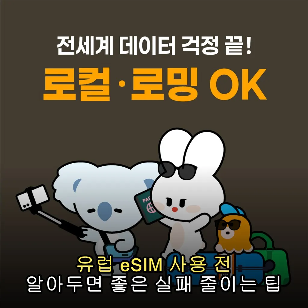 유럽 eSIM 사용 전 알아두면 좋은 실패 줄이는 팁