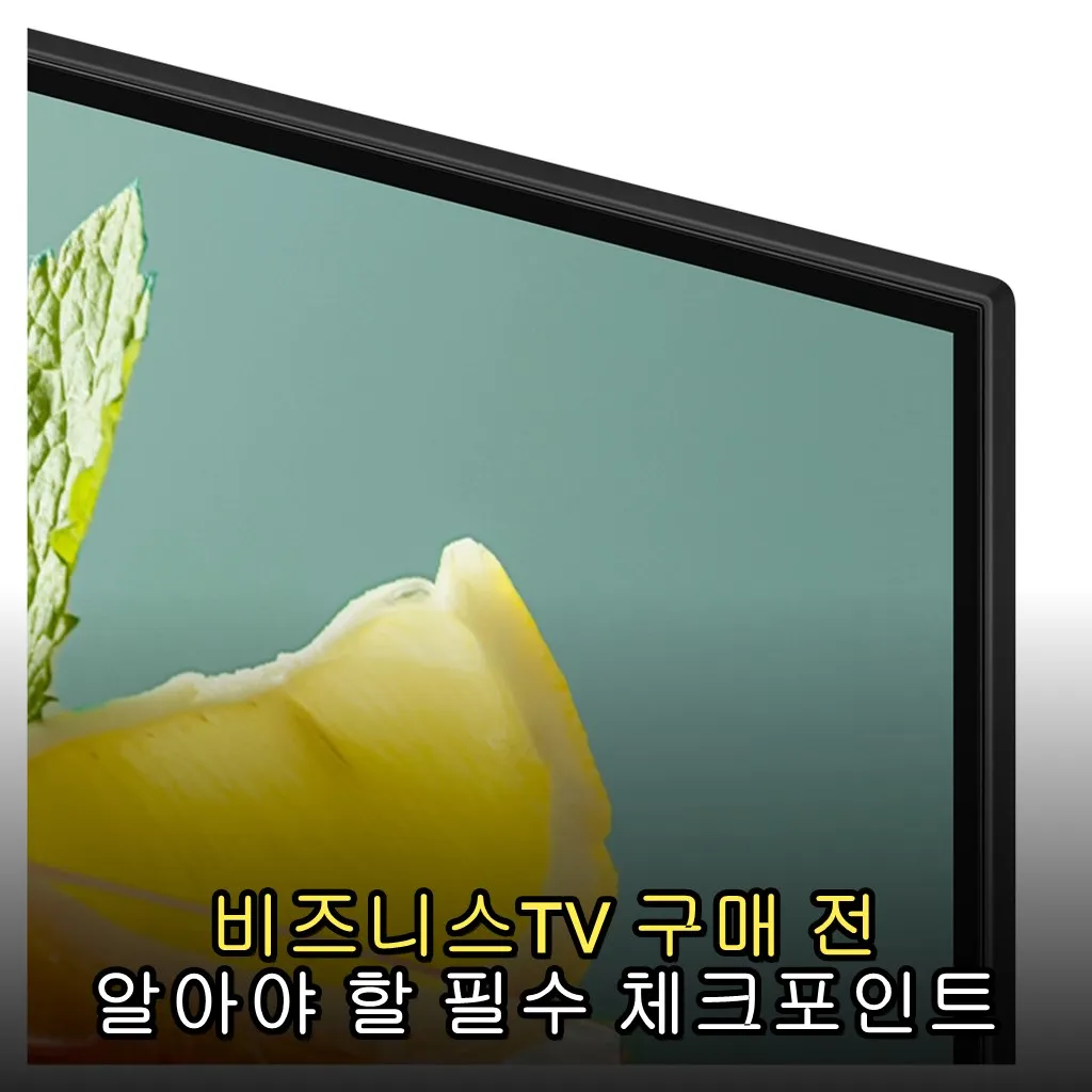 비즈니스TV 구매 전 알아야 할 필수 체크포인트
