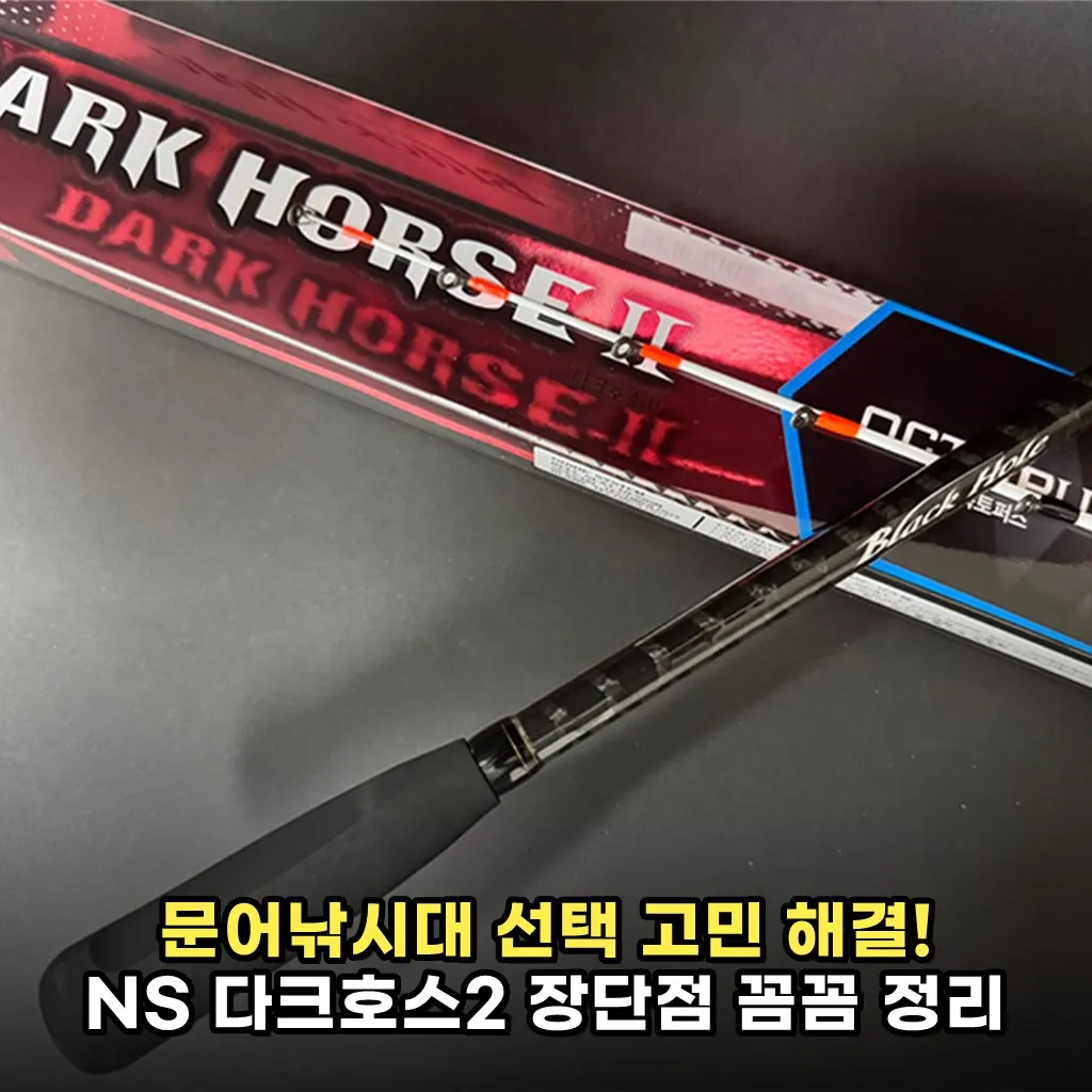 문어낚시대 선택 고민 해결! NS 다크호스2 장단점 꼼꼼 정리