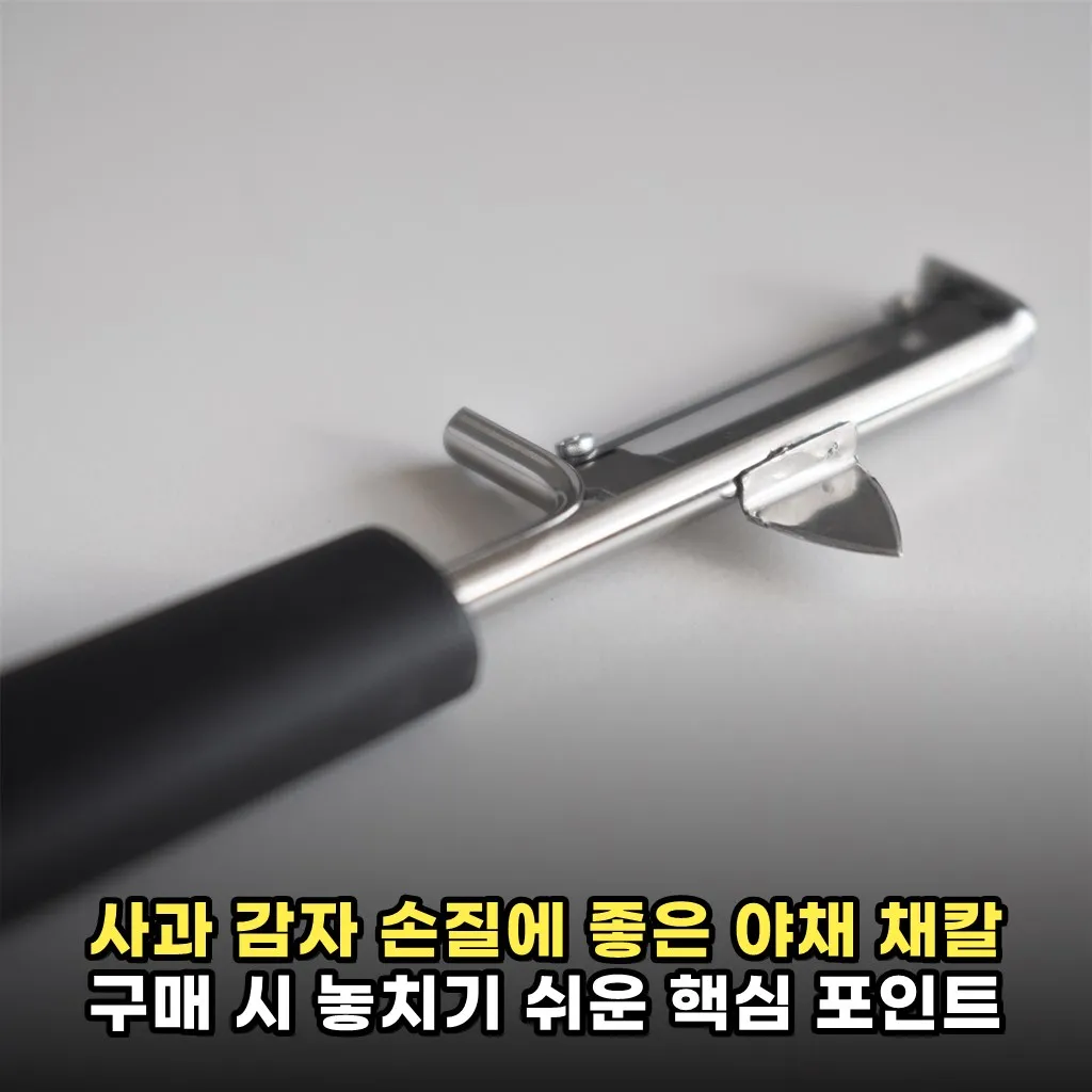 사과 감자 손질에 좋은 야채 채칼 구매 시 놓치기 쉬운 핵심 포인트