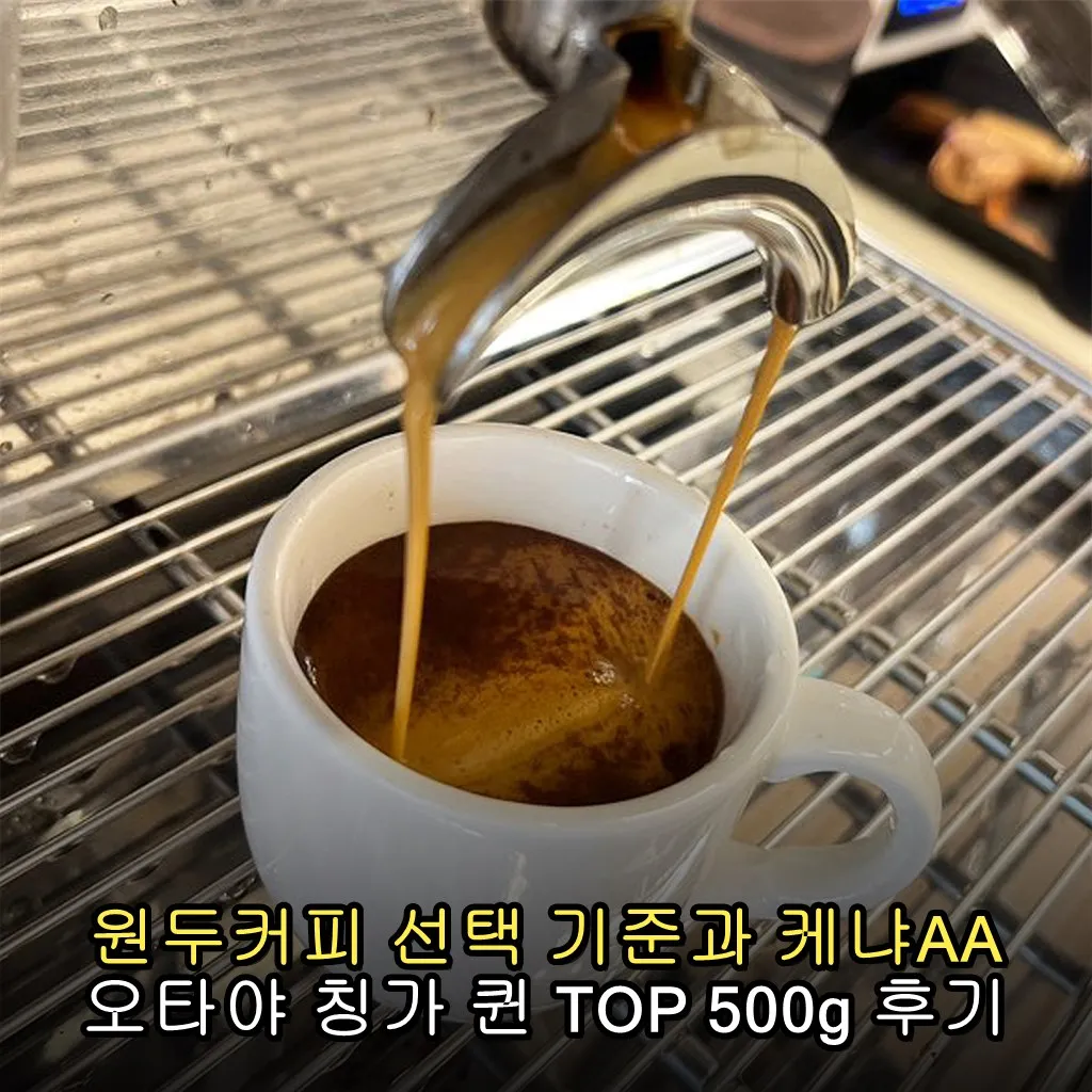 원두커피 선택 기준과 케냐AA 오타야 칭가 퀸 TOP 500g 후기