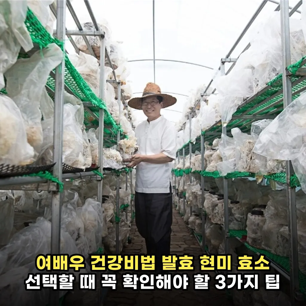 여배우 건강비법 발효 현미 효소 선택할 때 꼭 확인해야 할 3가지 팁