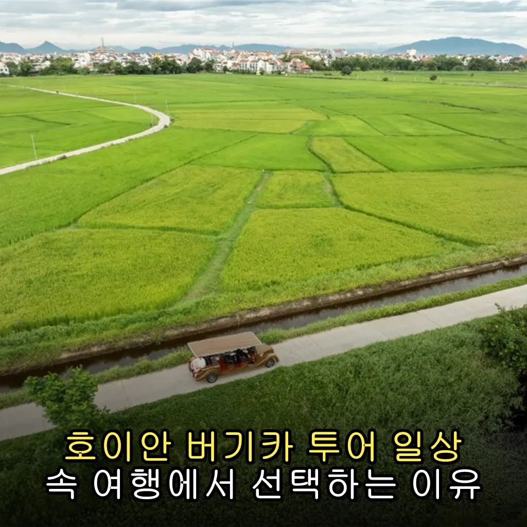 호이안 버기카 투어 일상 속 여행에서 선택하는 이유