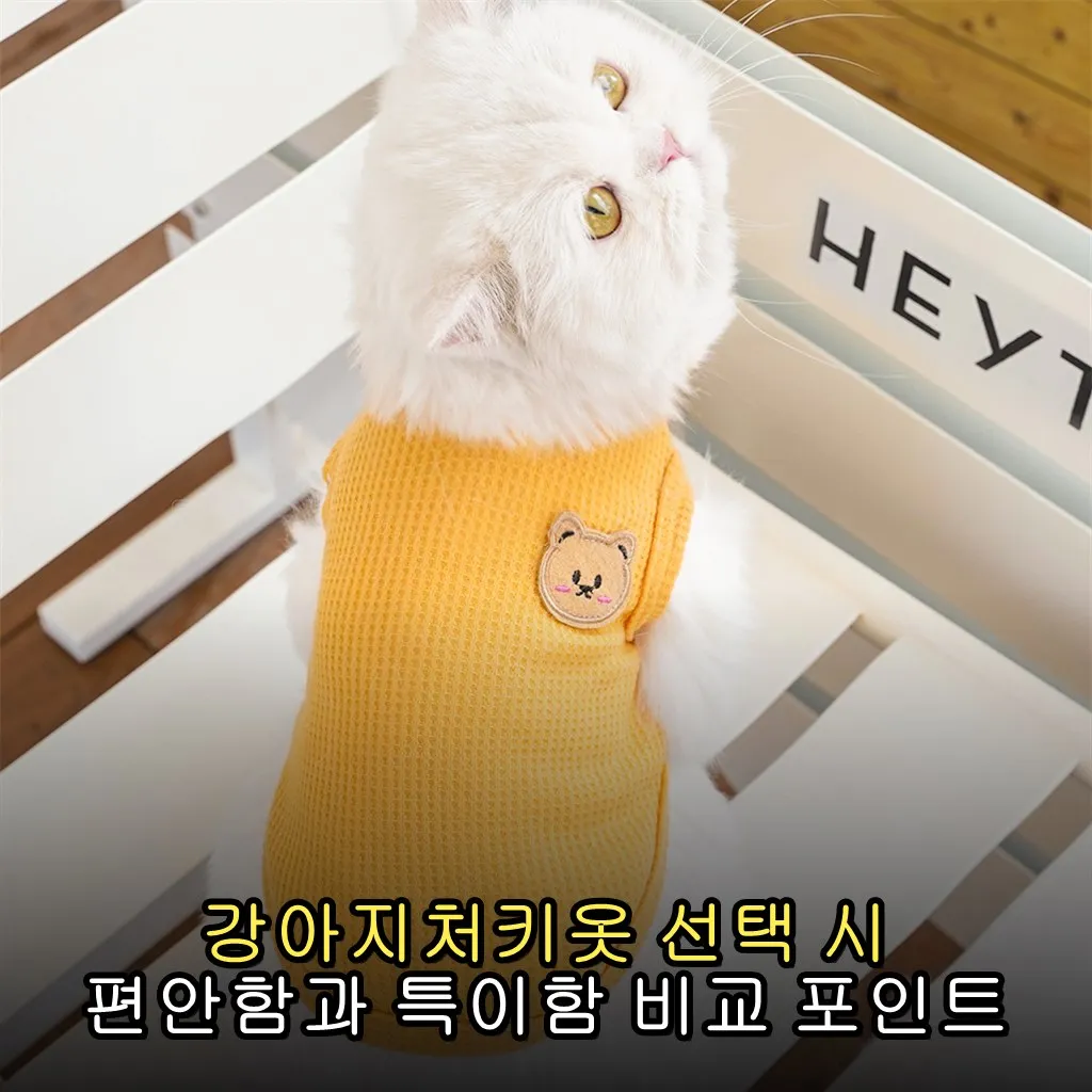 강아지처키옷 선택 시 편안함과 특이함 비교 포인트