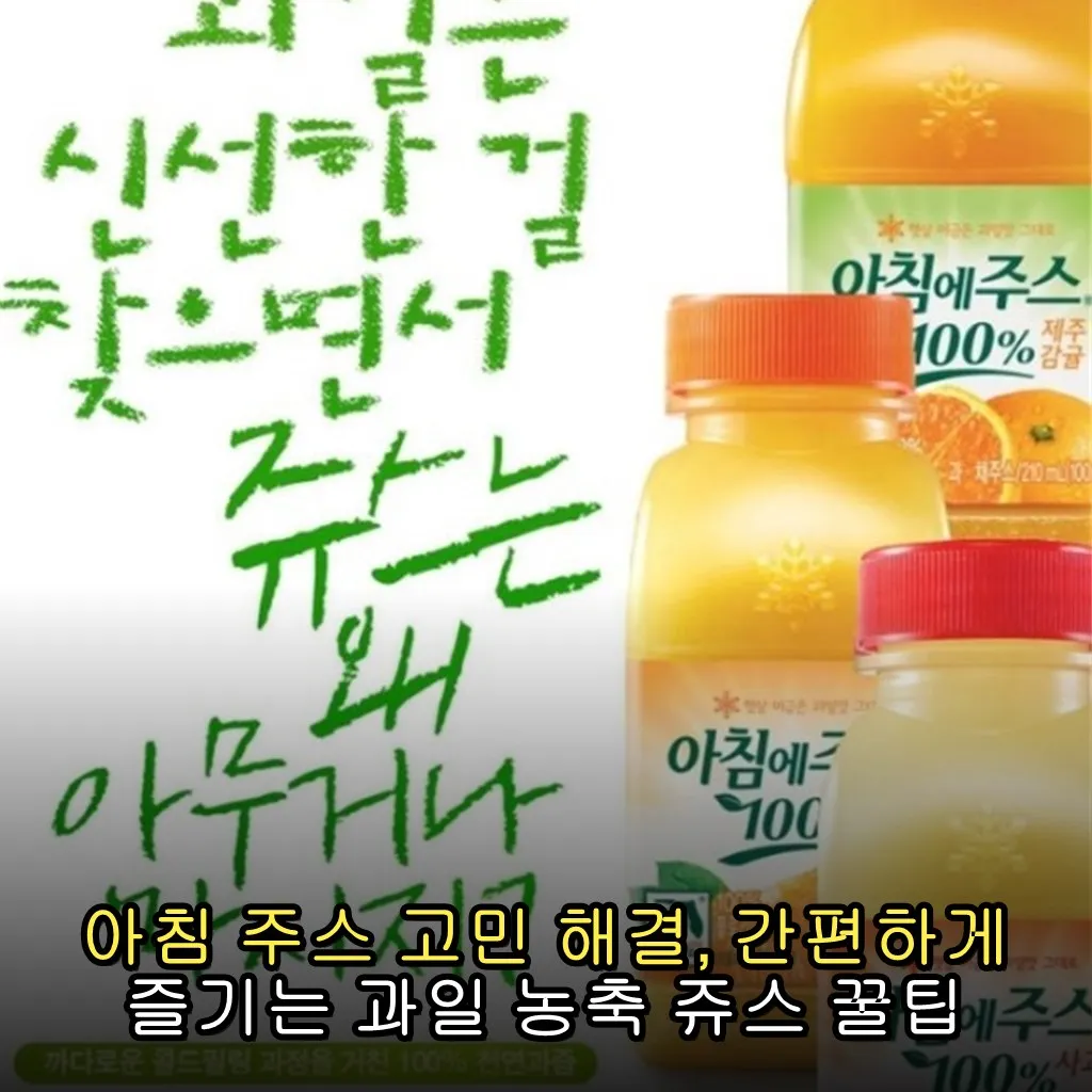 아침 주스 고민 해결, 간편하게 즐기는 과일 농축 쥬스 꿀팁